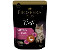 PROSPERA Plus kačiukų maistas žalias