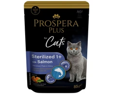 PROSPERA Plus katėms 1+ lašiša