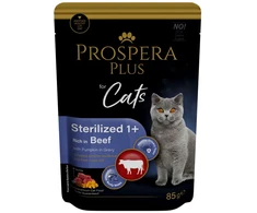 PROSPERA Plus katėms, jautiena, moliūgai, 85 g