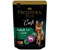 PROSPERA Plus su ėriena ir moliūgu, 85 g