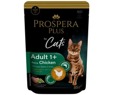 PROSPERA Plus su vištiena katėms, 85 g