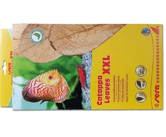SERA Catappa lapai XXL 32 cm
