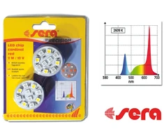 sera LED raudonas šviesos diodas 2W/12V