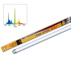 SERA Mėlynas SKY T8 25W 750mm