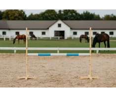 Šuolių kliūtis medinė šviesiai mėlyna 120 cm