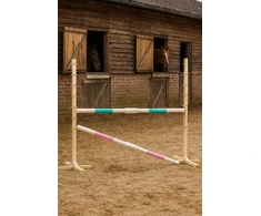 Šuolių kliūtis hobby horsing 160×120 cm su dviem kartelėmis mentos ir šviesiai rožinė