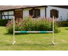 Šuolių kliūtis hobiarkliams 160×120 cm su mėtų spalvos kartimi