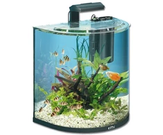 Tetra AA Explorer LED Akvariumas 60L