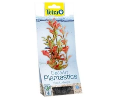 Tetra DecoArt Augalas Raudona Ludwigia M