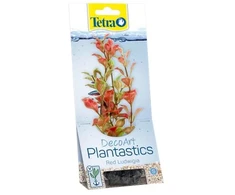 Tetra DecoArt Augalas Raudona Ludwigia S