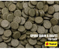 Tropical Breeder Line Spirulina Planšetė A 1kg