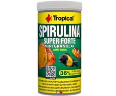Tropical Spirulina 36% Mini Granulės 100ml