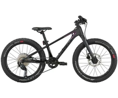 Bulls Dviratis 20" Tokee Ultra Lite Rainbow karboninis