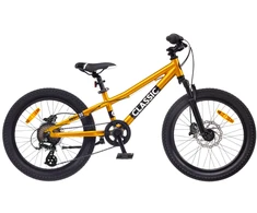 Dviratis 20 CLASSIC PRO 20+ golden classic