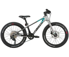 Dviratis 20" Bulls Tokee Ultra Lite sidabrinis karboninis