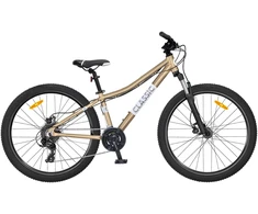 Dviratis 26 CLASSIC PRO 26 26 auksinis classic