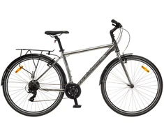Dviratis 28 CLASSIC STREET 21 MEN EQ 28 etallic classic