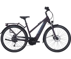Dviratis 28" elektrinis Pegasus Solero Evo 9 trapez BOSCH Sistema 400wh violetinis