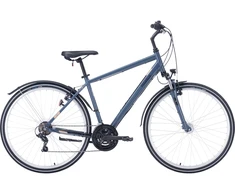 Dviratis 28" Pegasus Avanti Sport 18 vyr. 18g t.pilkas
