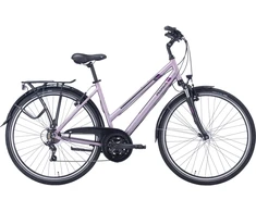 Dviratis 28" Pegasus Piazza 21g trapez šv.violetinis