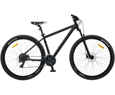 Dviratis 29 CLASSIC PRO 29 29 juodas classic