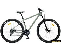 Dviratis 29 CLASSIC PRO 29+ 29 pilkas classic