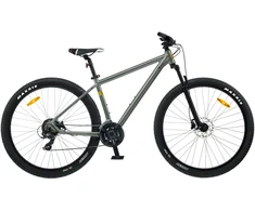Dviratis 29 CLASSIC PRO 29 29 žalias classic