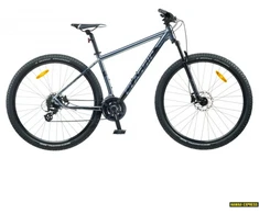 Dviratis 29 CLASSIC PRO 29 Disc 24spetallic classic