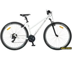 Dviratis 29 CLASSIC TEAM LADY 29 29 baltas classic