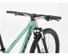 Dviratis 29" TREK Marlin 4 žalias