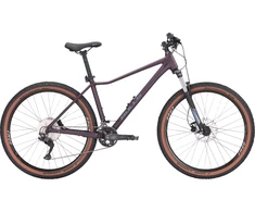 Dviratis 29" Bulls Aminga 2 20g violetinis
