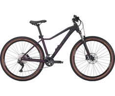 Dviratis 29" Bulls Aminga 2 22g juoda/violetinė