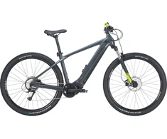 Dviratis 29" elektrinis Bulls LT CX EVO vyr. BOSCH Sistema 625wh 8g pilkas