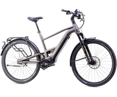 Dviratis 29" elektrinis Bulls Vuca Evo Speed FSX1 960Wh pilkas