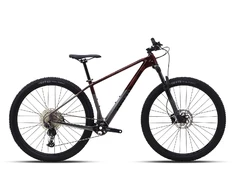 Dviratis 29" POLYGON SYNCLINE C3 Rudas/Pilkas