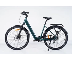 Kita Elektrinis dviratis 28" Luna Neo Chain žalias