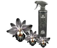 Spring Aliejinis patalpų kvapas Juodas orchid, 500ml
