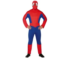 Superhero kostiumas vyrams