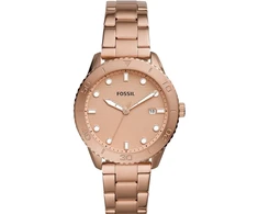 Laikrodis FOSSIL DAYLE BQ3596