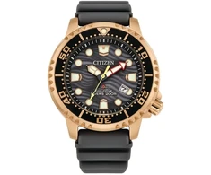 Laikrodis CITIZEN BN0163-00H