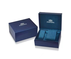 Laikrodis FESTINA ACERO CLASICO F20738_3