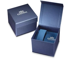Laikrodis FESTINA ACERO CLASICO F20740_2