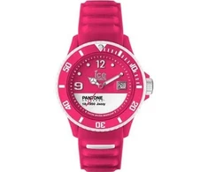 Laikrodis ICE WATCH PAN-BC-JAZ-U-S-13