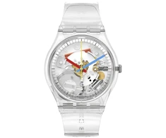 Laikrodis SWATCH WATCHES SO28K100-S06