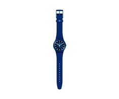 Laikrodis SWATCH WATCHES modelis SVIN103-5300