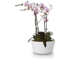 POLNIX Keraminis vazonas ORCHID, apvalus, baltas, 28 x 13(A) cm