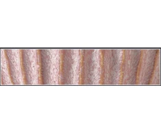 Pot&amp;Deco Keraminis vazonas NOLANA, ovalus, rožinis, 25,5x15,5 x 12(A) cm