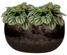 Ter Steege Keraminis vazonas KAE, apvalus, rudas, 22 x 13(A) cm