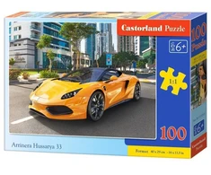 Castorland Dėlionė 100 vnt. - Arrinera Hussarya 33