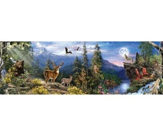 Didelė deimantinė mozaika panorama kalnų 120x40cm